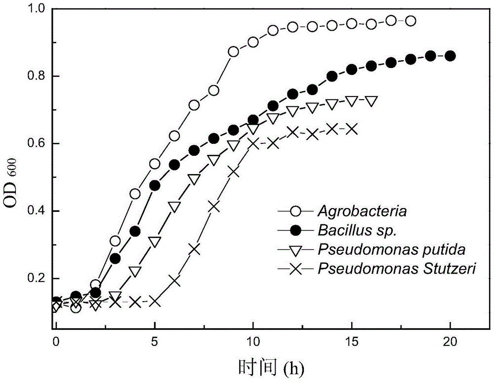 A kind of composite flora for degrading electroplating wastewater and its preparation method