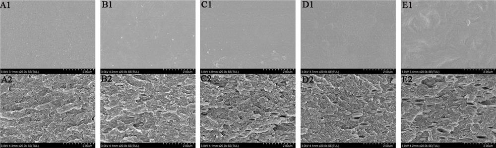A kind of high-strength hordein-chitosan composite film and preparation method thereof