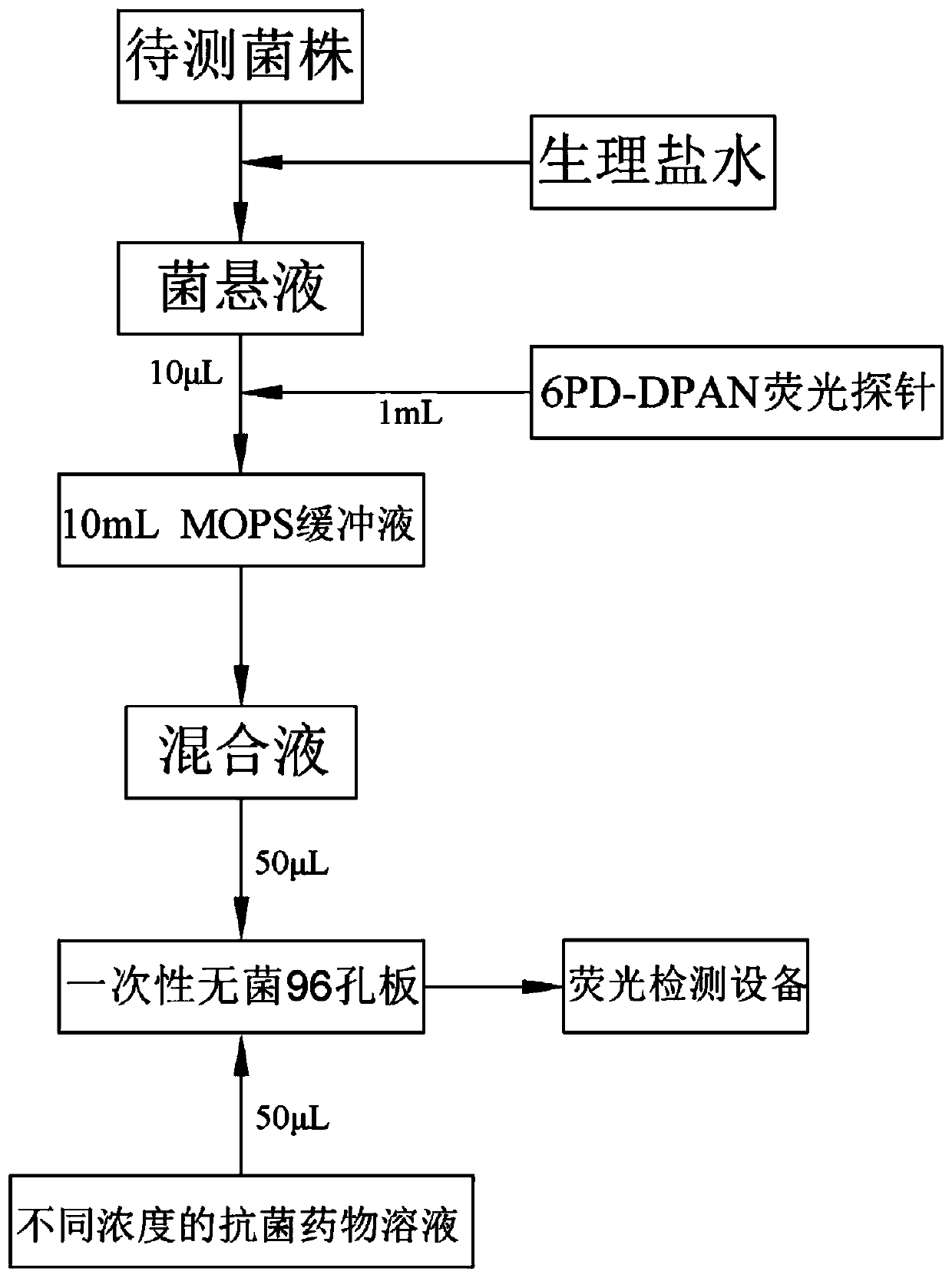 Method for detecting drug resistance of bacteria based on AIE fluorescent probe