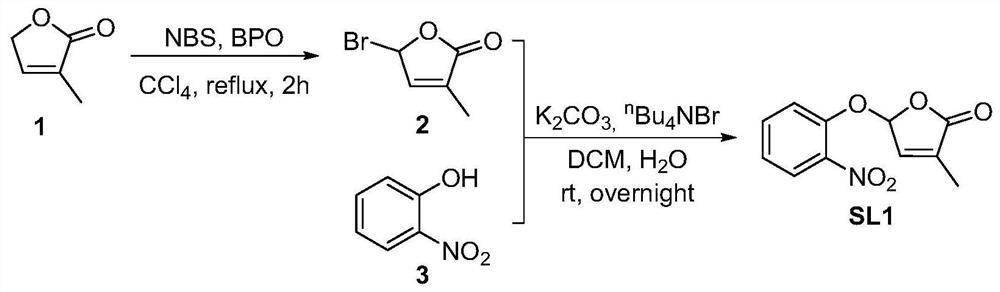 A kind of highly active strigolactone derivative and its preparation and application