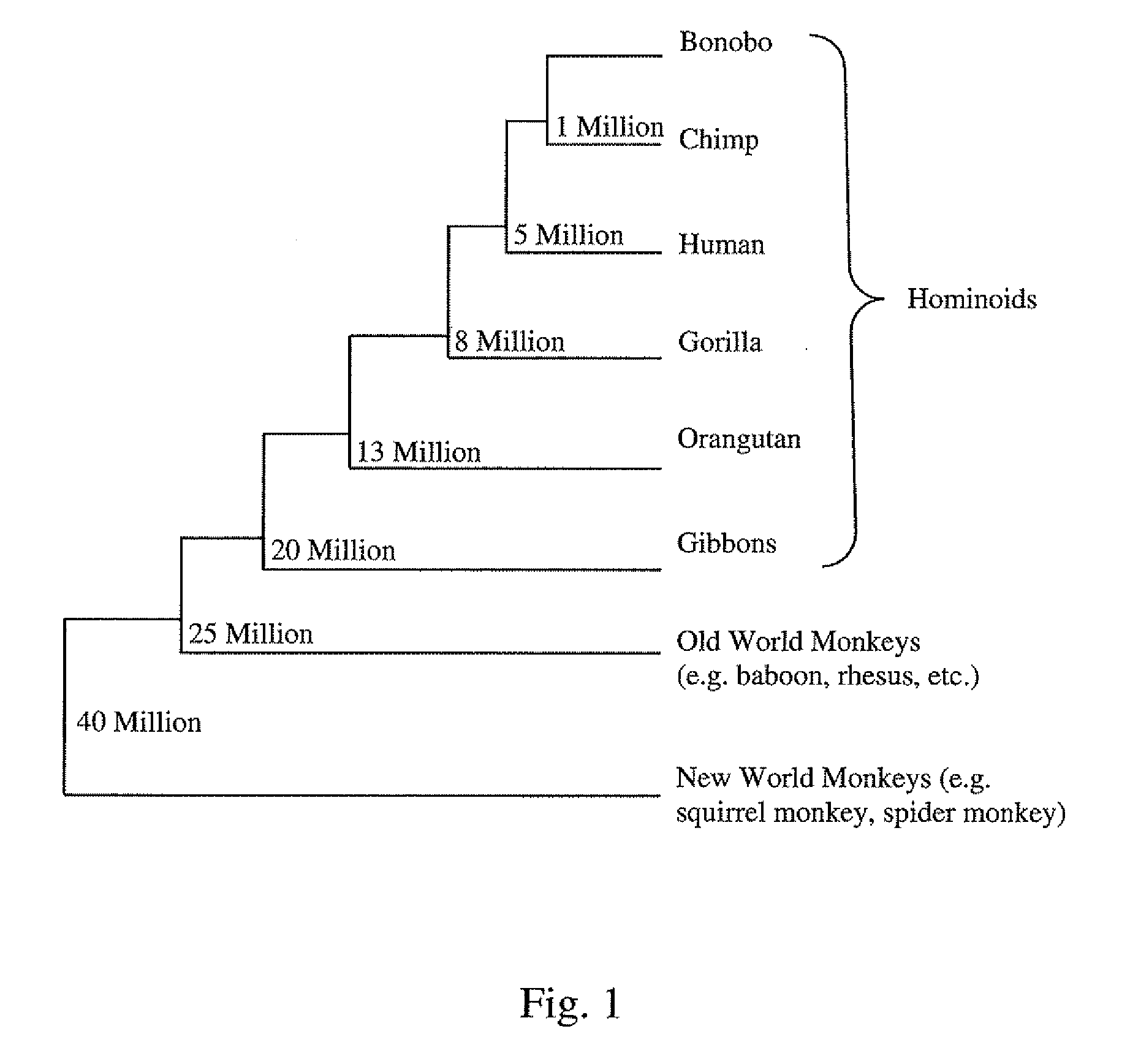 Methods to identify polynucleotide and polypeptide sequences which may be associated with physiological and medical conditions