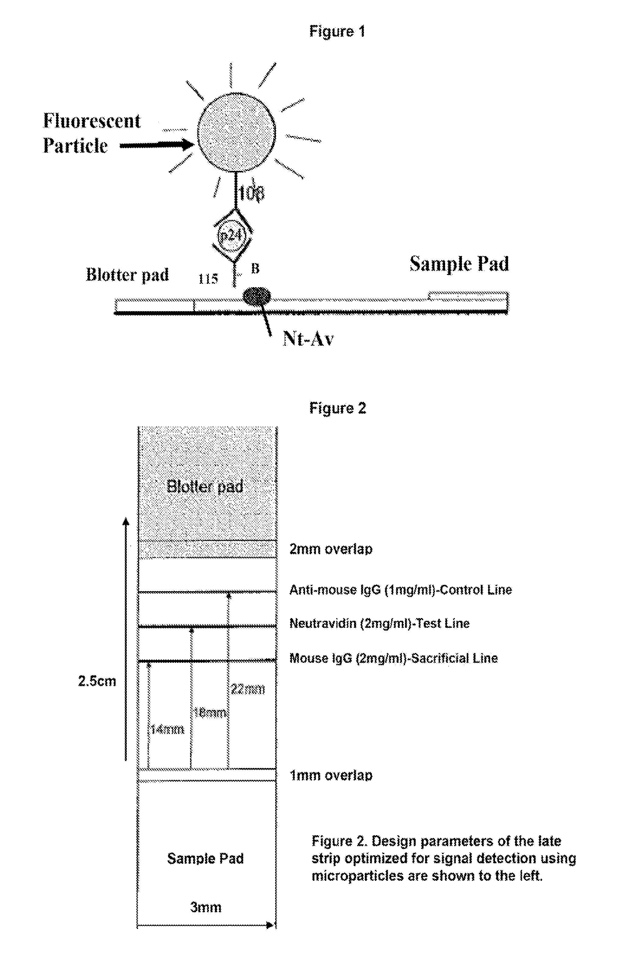 Lateral flow strip and uses thereof