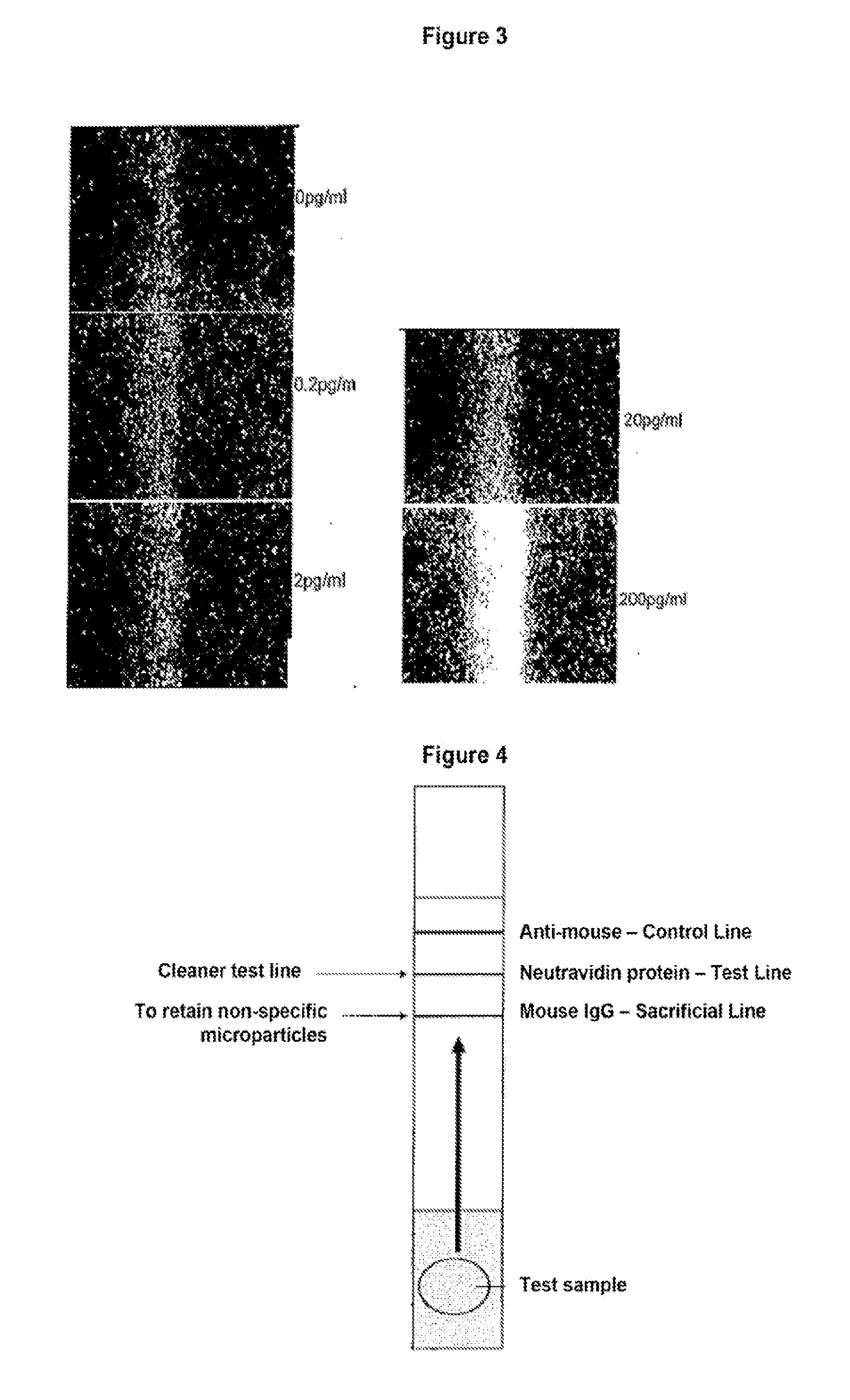 Lateral flow strip and uses thereof