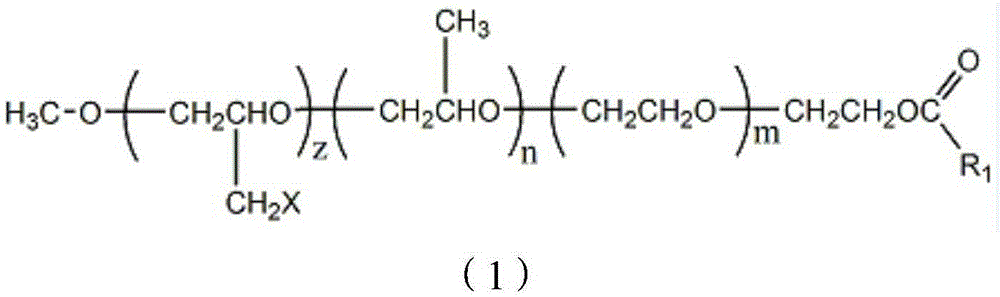 Active macromonomer, and preparation method and application thereof