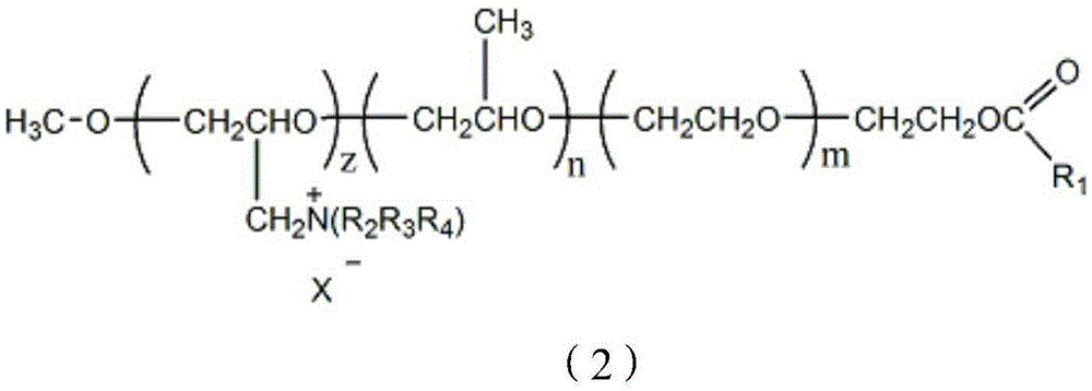 Active macromonomer, and preparation method and application thereof