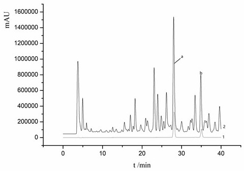 Method for extracting active components from Ganoderma lucidum assisted by ionic liquid and ultrasound