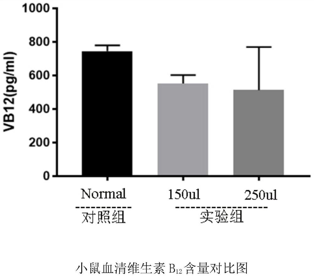 Preparation of spinal cord subacute combined degeneration disease model