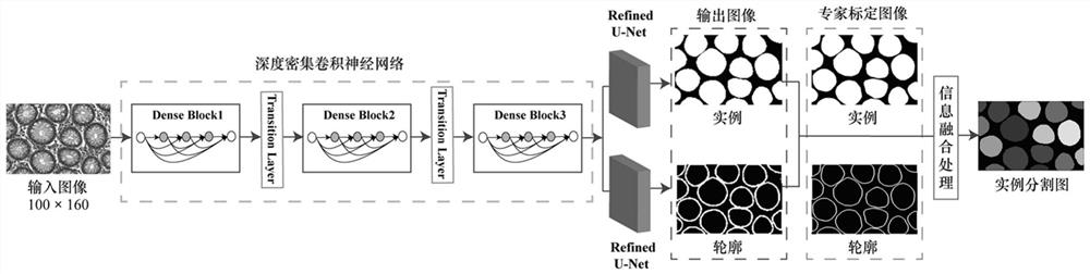 A Deep Neural Network Algorithm for Automatic Segmentation of Colon Gland Images