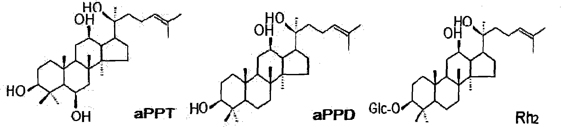 Dammarane aglycon compound and application thereof