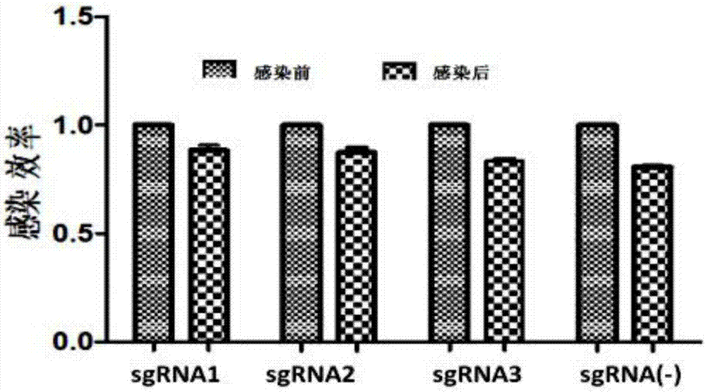 sgRNA of targeting IGF-IR gene, and applications thereof