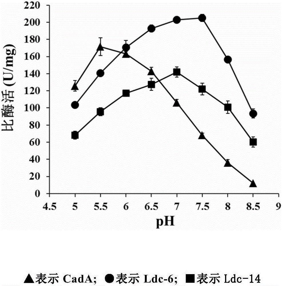 Novel lysine decarboxylase and application thereof