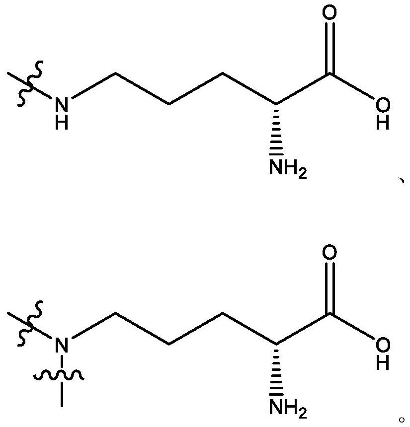 Hyperbranched polymer plugging type anti-collapse agent, water-based drilling fluid containing hyperbranched polymer plugging type anti-collapse agent and preparation