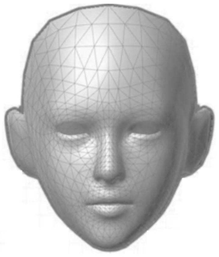 A Method of Expression Synthesis with Dynamic Texture Details