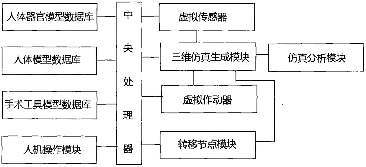 A human anatomy teaching system