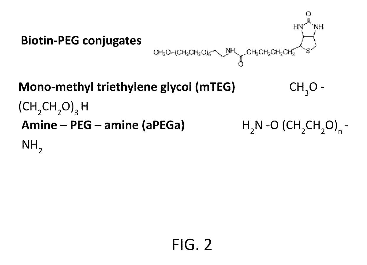 Antibodies to polyethylene glycol