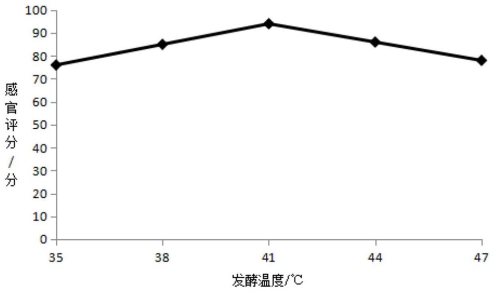 Apple and lily yoghourt and preparation method thereof