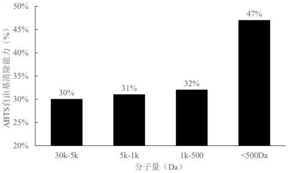 Sea squirt antioxidant polypeptide and preparation method thereof