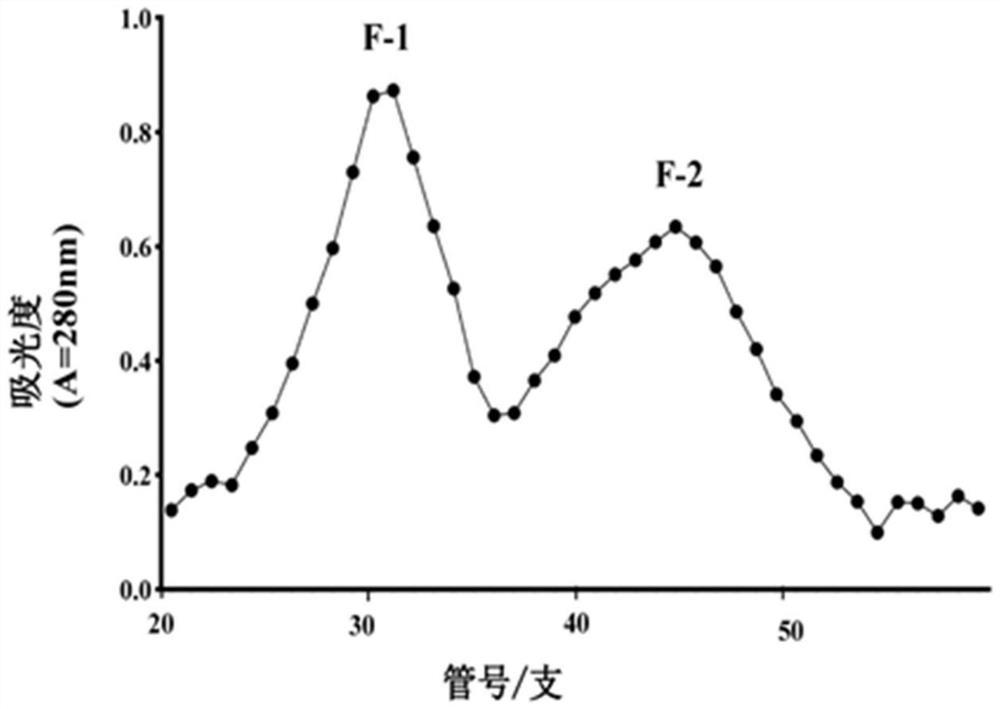 Sea squirt antioxidant polypeptide and preparation method thereof