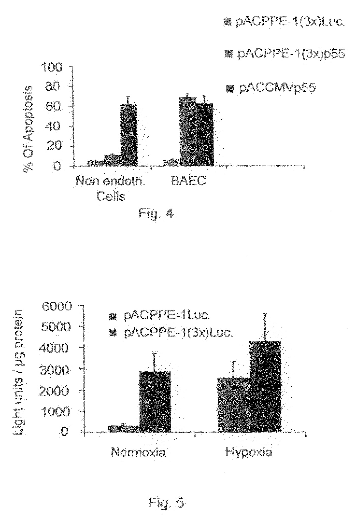Promoters exhibiting endothelial cell specificity and methods of using same