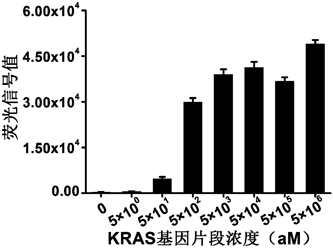 Detection method of specific nucleic acid fragment based on CRISPR-Cas13a