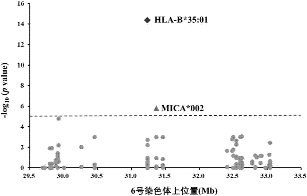 Application of HLA-B (Human Leukocyte Antigen-B) allele to preparation of detection reagent for predicating liver injury causing risks of polygoni multiflori and components thereof