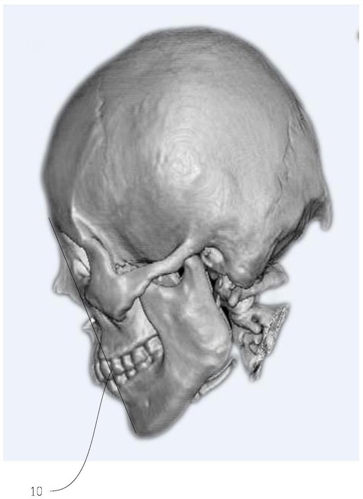 Human body model modeling method and device, storage medium and electronic equipment