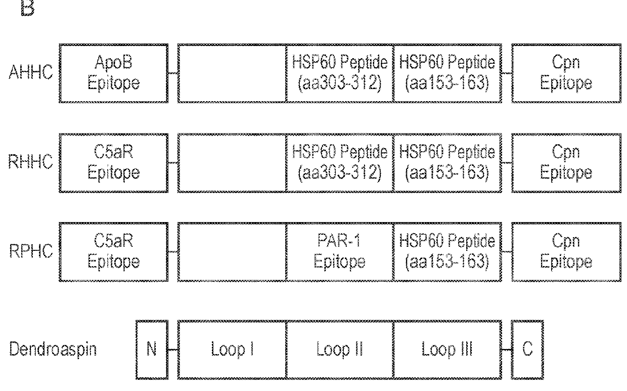 Multi-epitopic construct