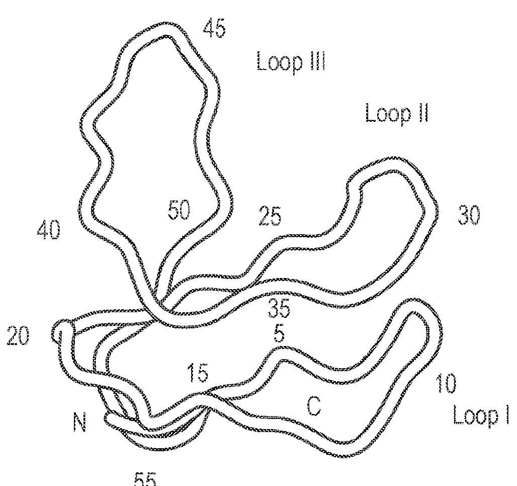 Multi-epitopic construct