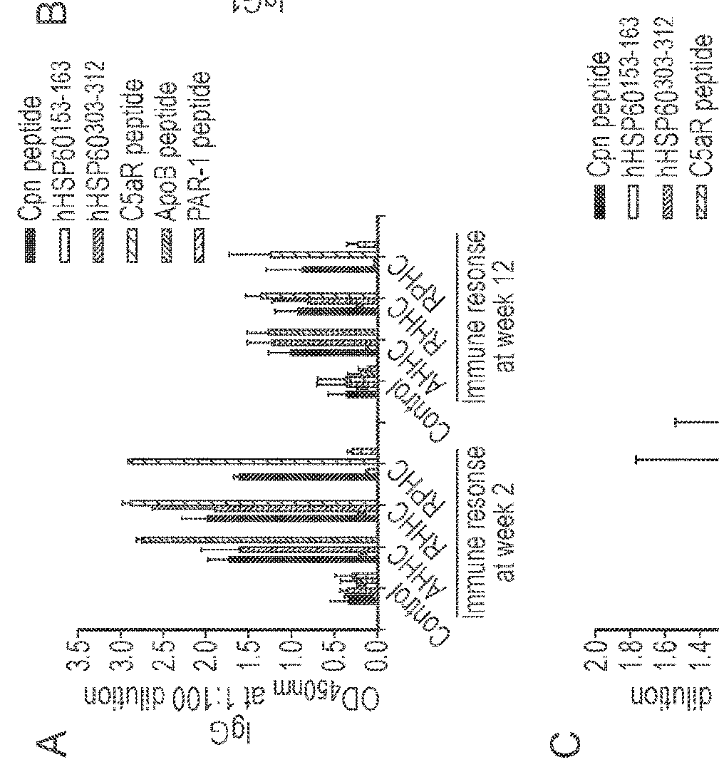 Multi-epitopic construct