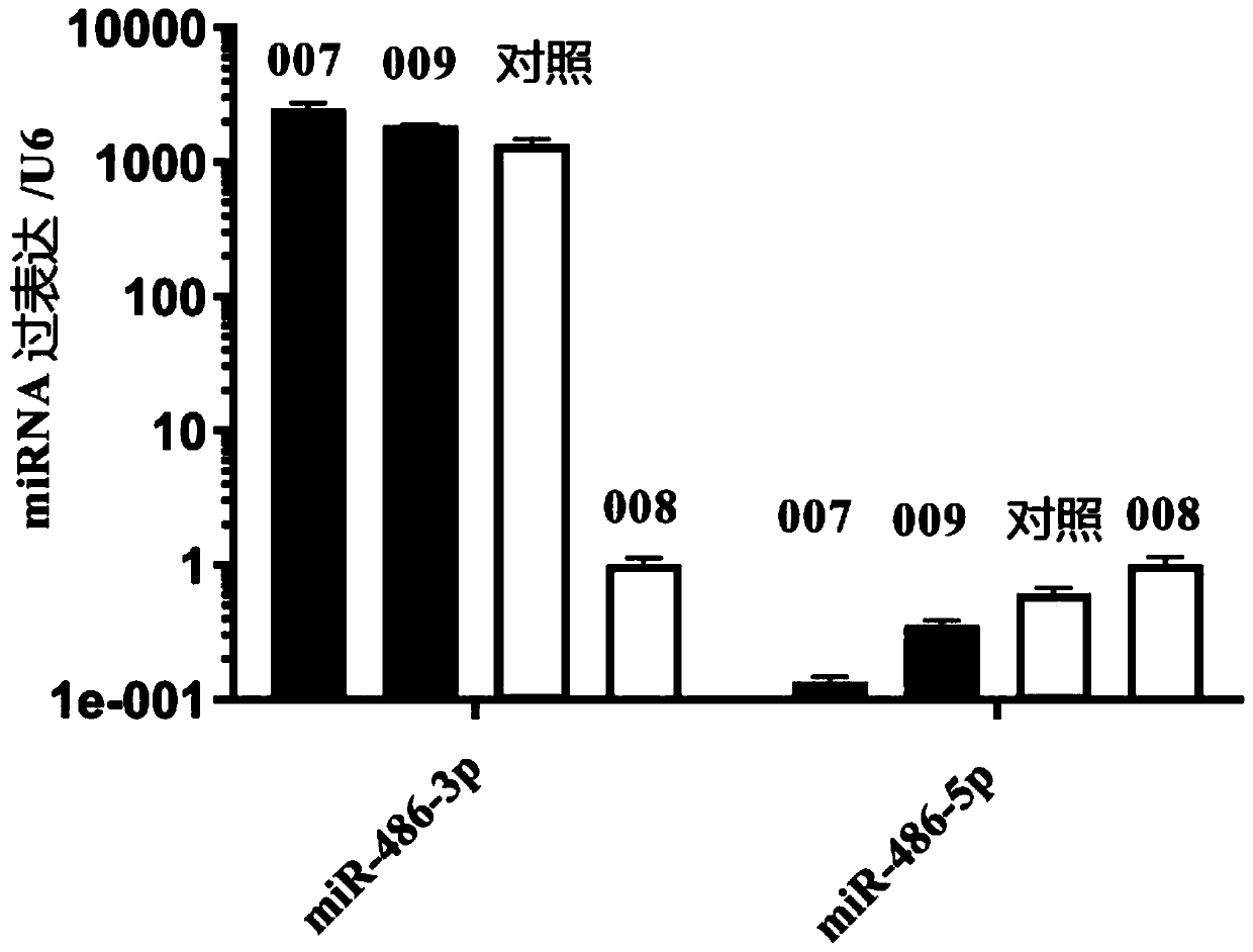 Method for specificity overexpression of miRNA of slow virus mediated mammal cells