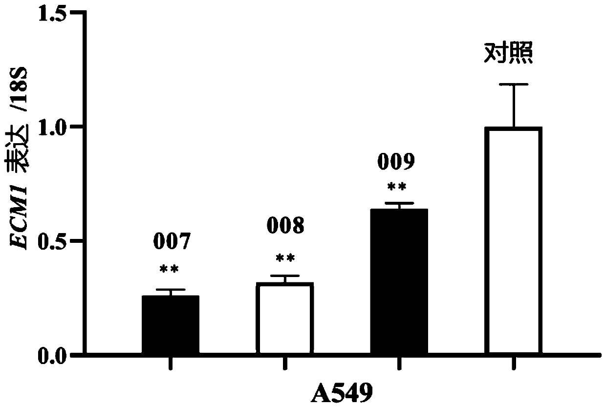 Method for specificity overexpression of miRNA of slow virus mediated mammal cells