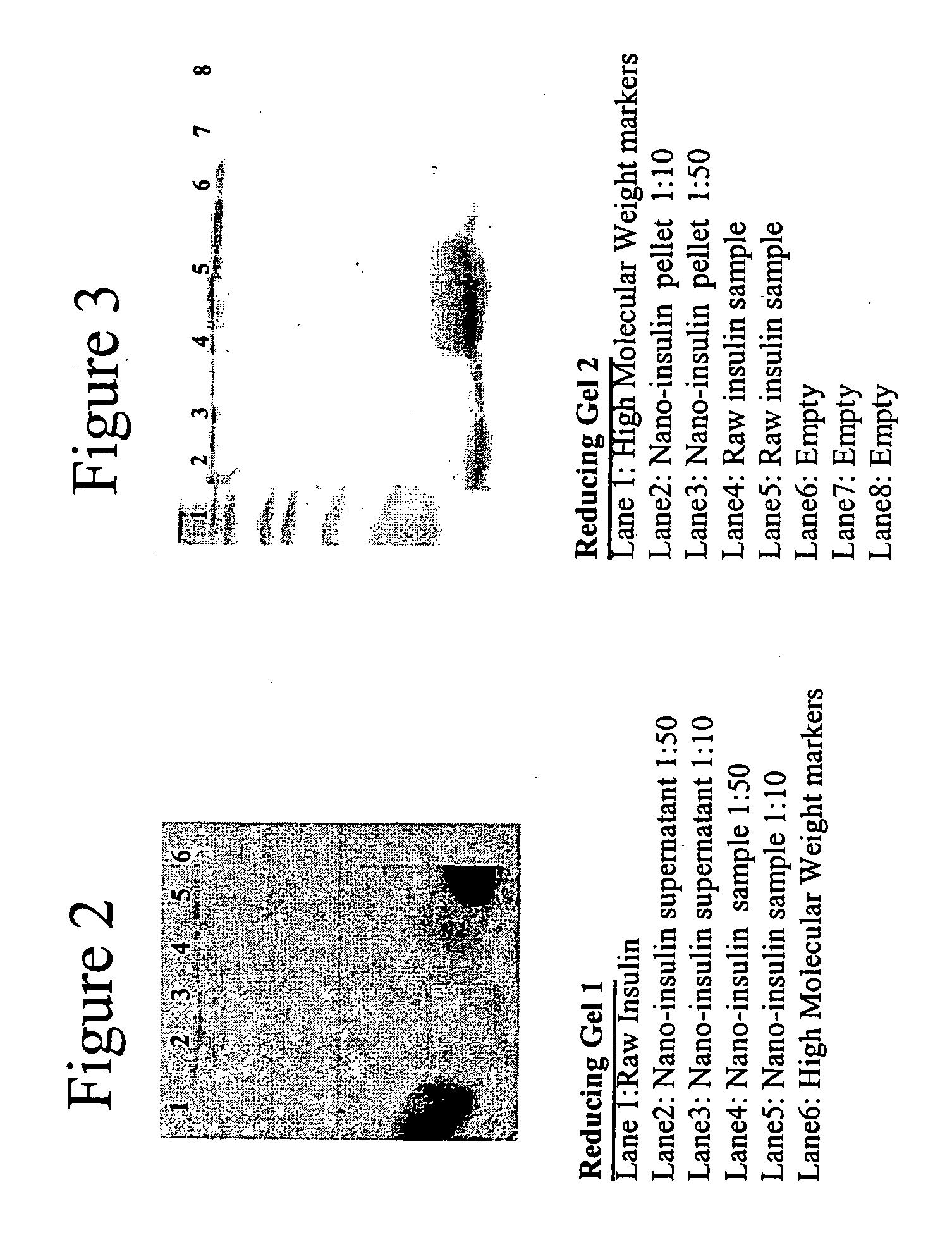 Nanoparticulate insulin