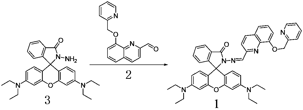 Rhodamine B derivative, its preparation and application