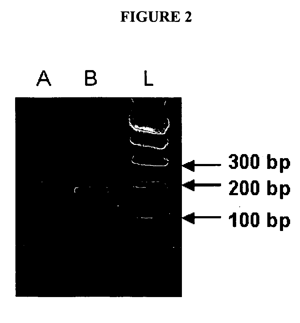 Compositions and methods for determining oocyte development potential