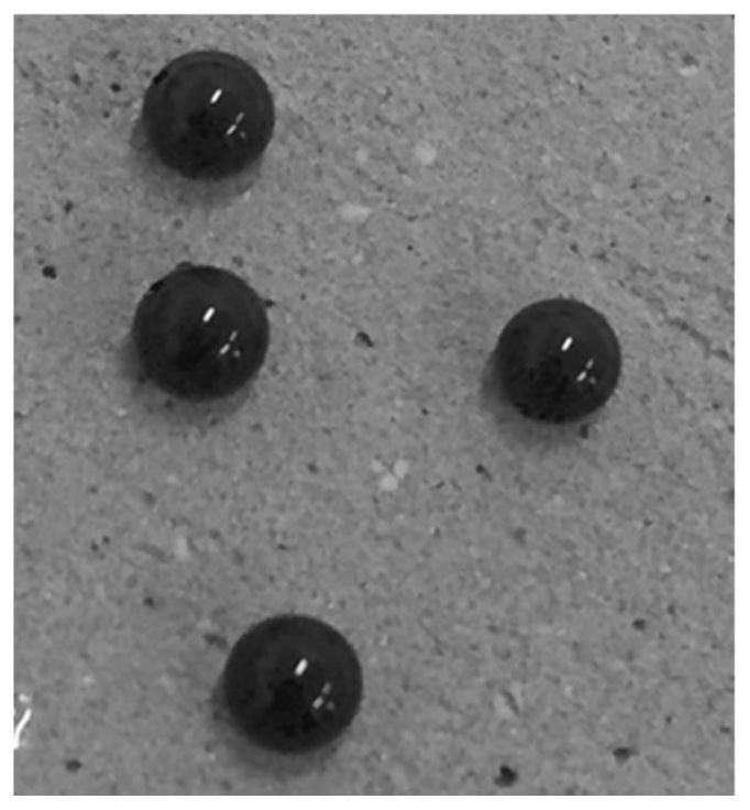 A kind of superhydrophobic cement and its preparation method and application