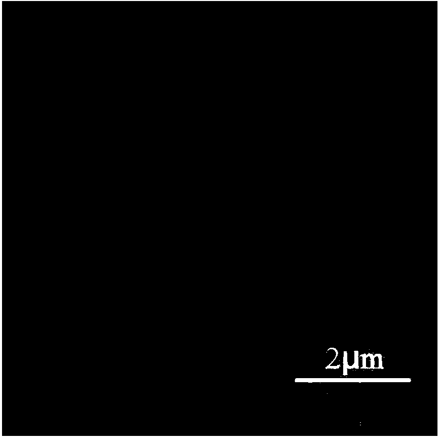 Modified cellulose/graphene oxide composite microsphere and preparation method thereof