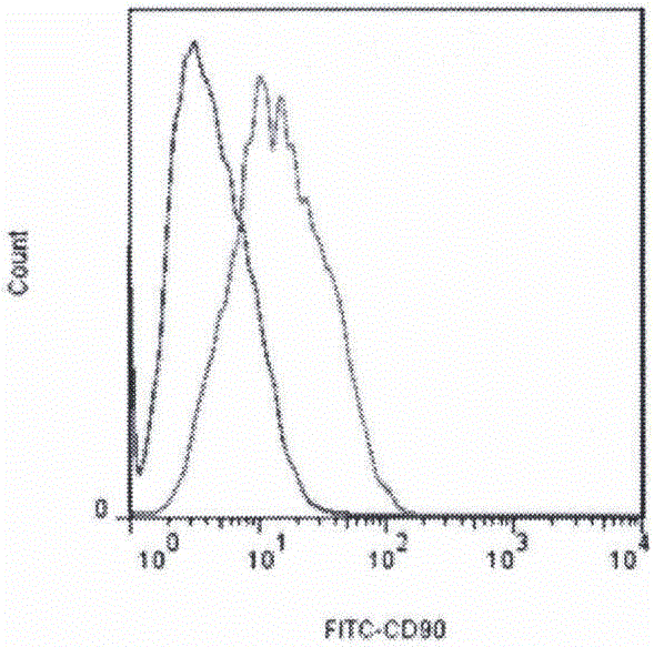 Culture method for efficiently obtaining adipose mesenchymal stem cells