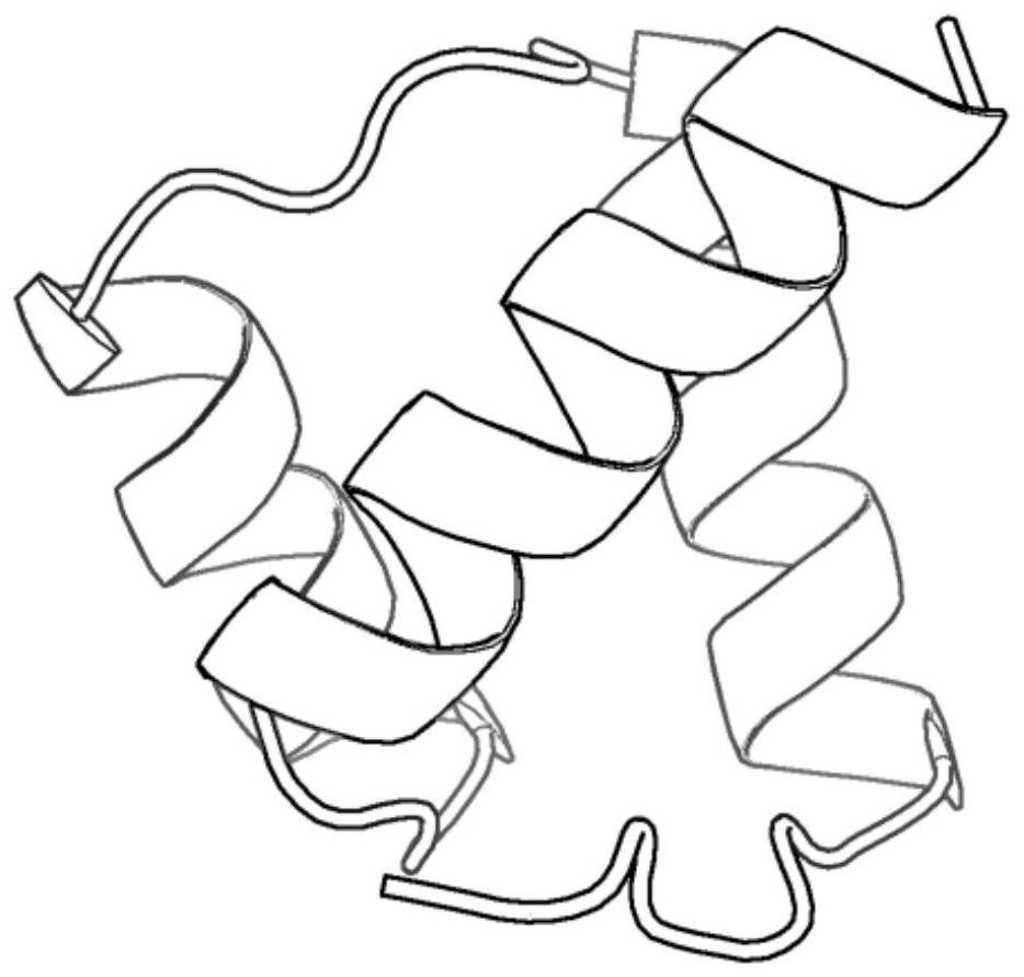 A strategy-adaptive protein conformation space optimization method based on transfer entropy