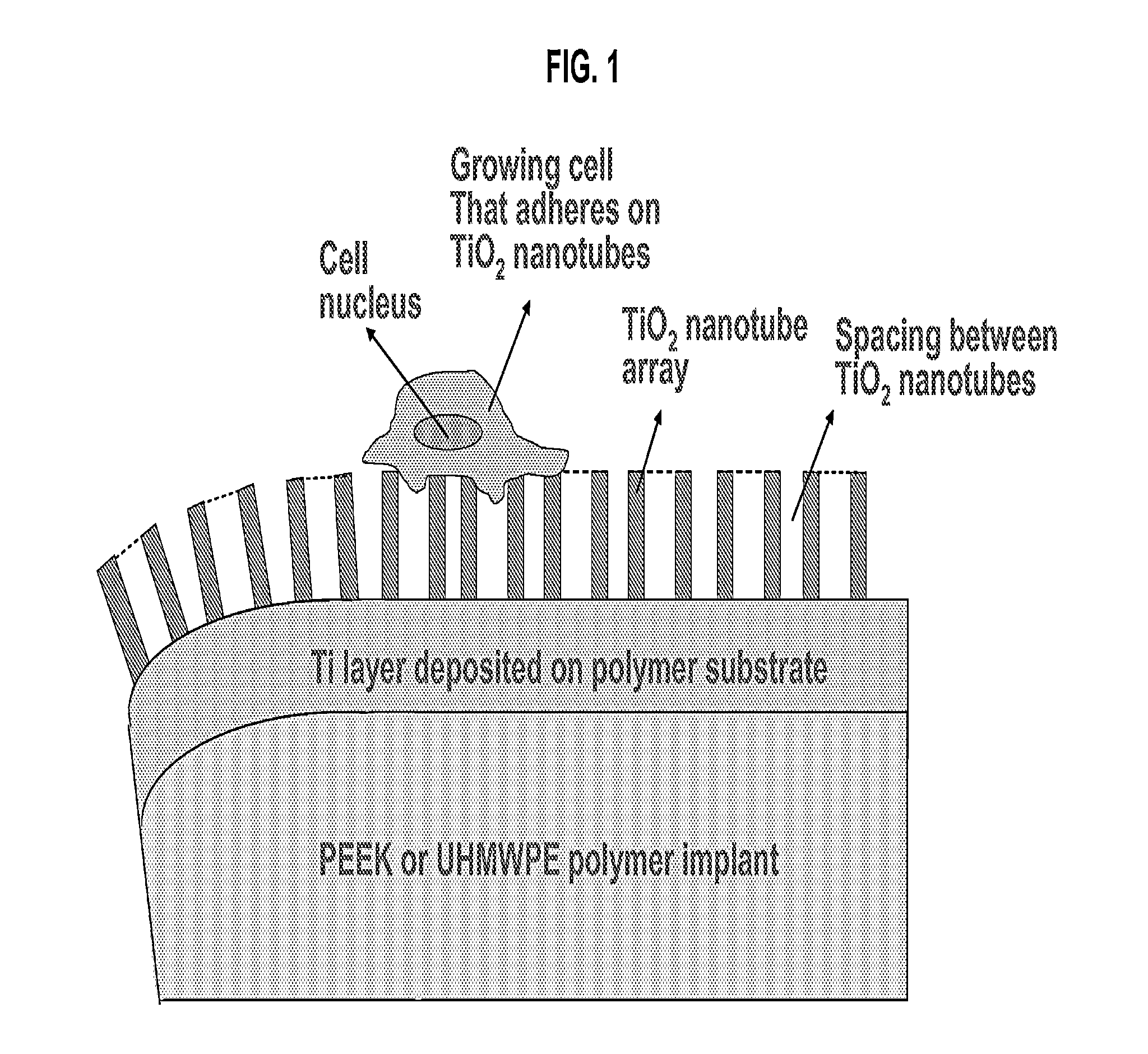 Inorganically surface-modified polymers and methods for making and using them