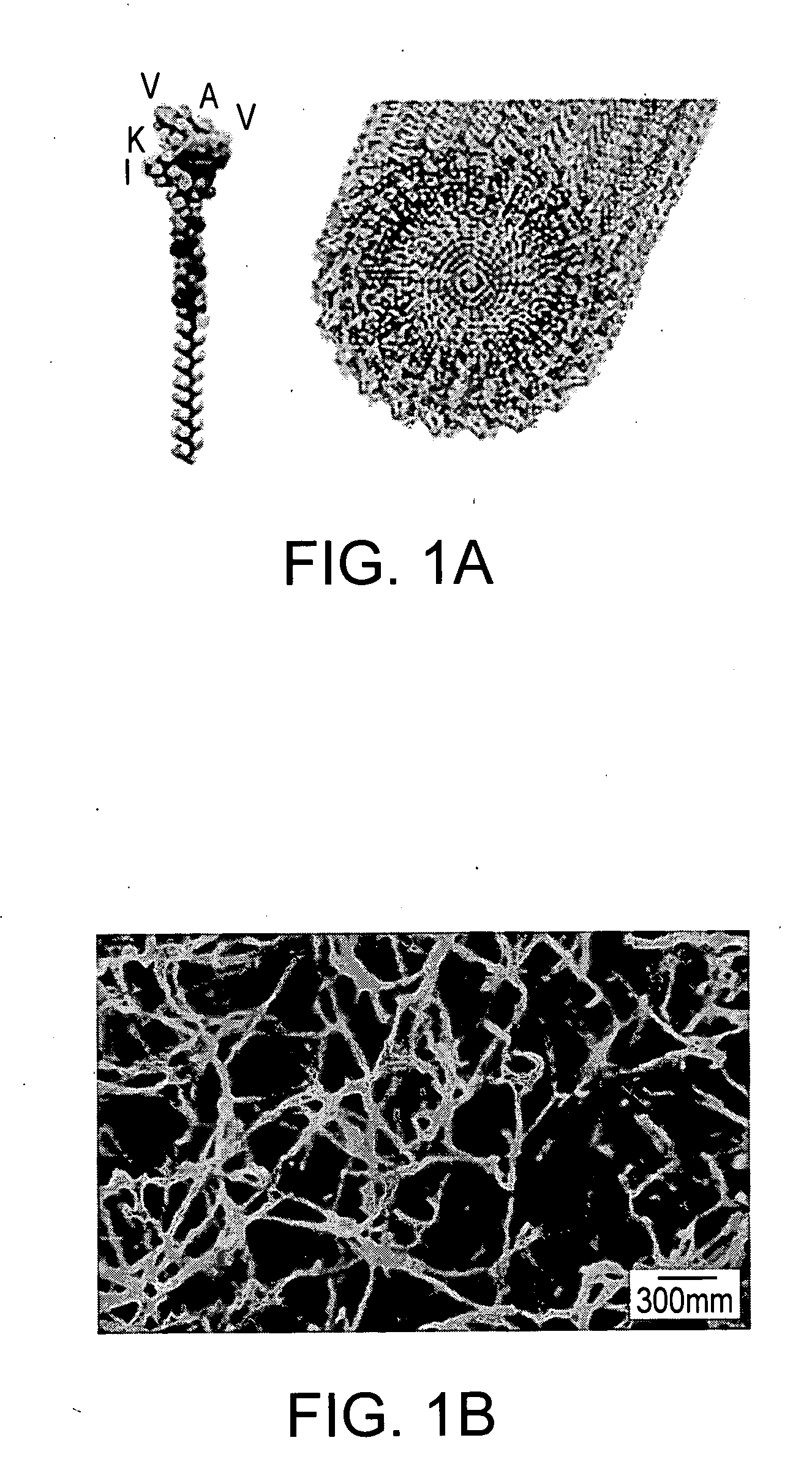 Methods and compositions for encapsulation of cells