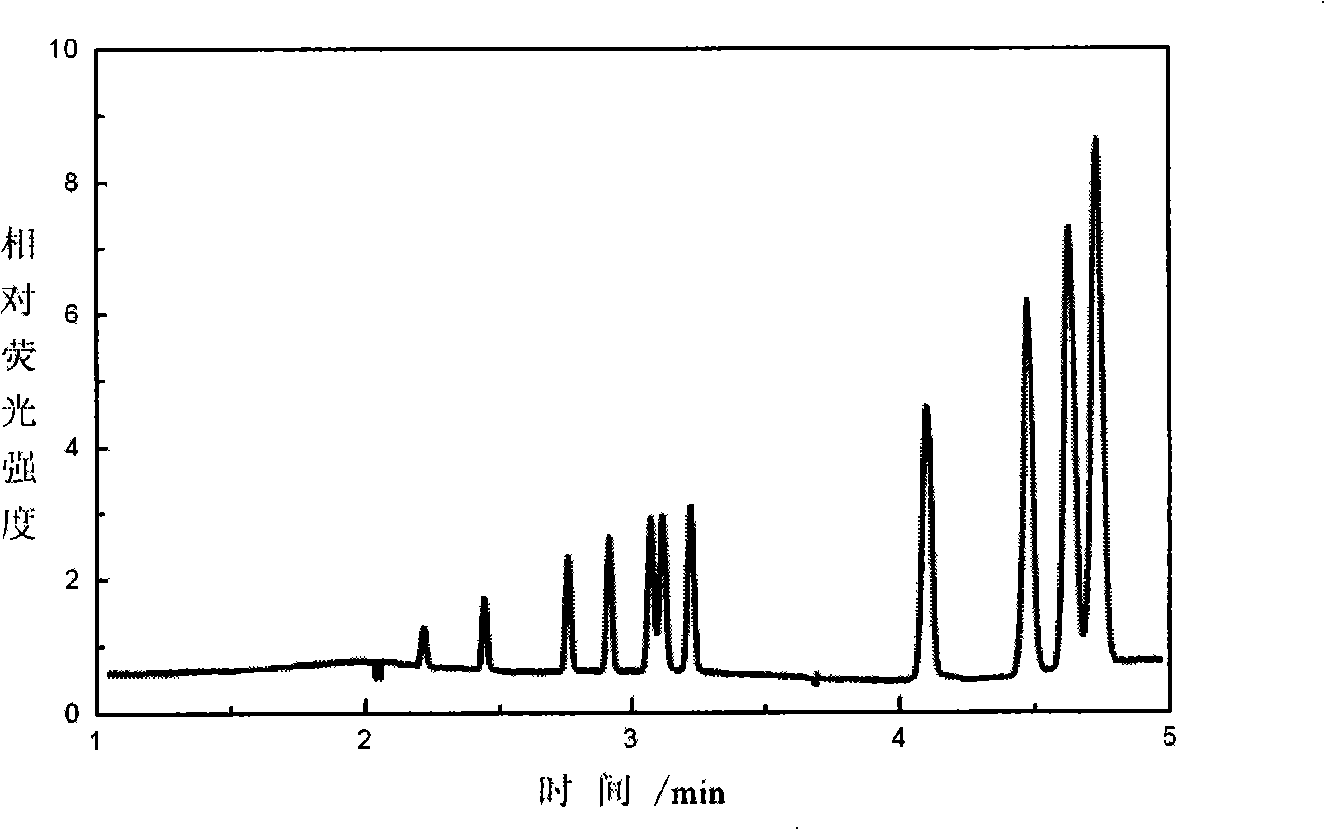 Microcurrent controlled capillary tube electrophoresis liquid core waveguide fluorescence testing apparatus