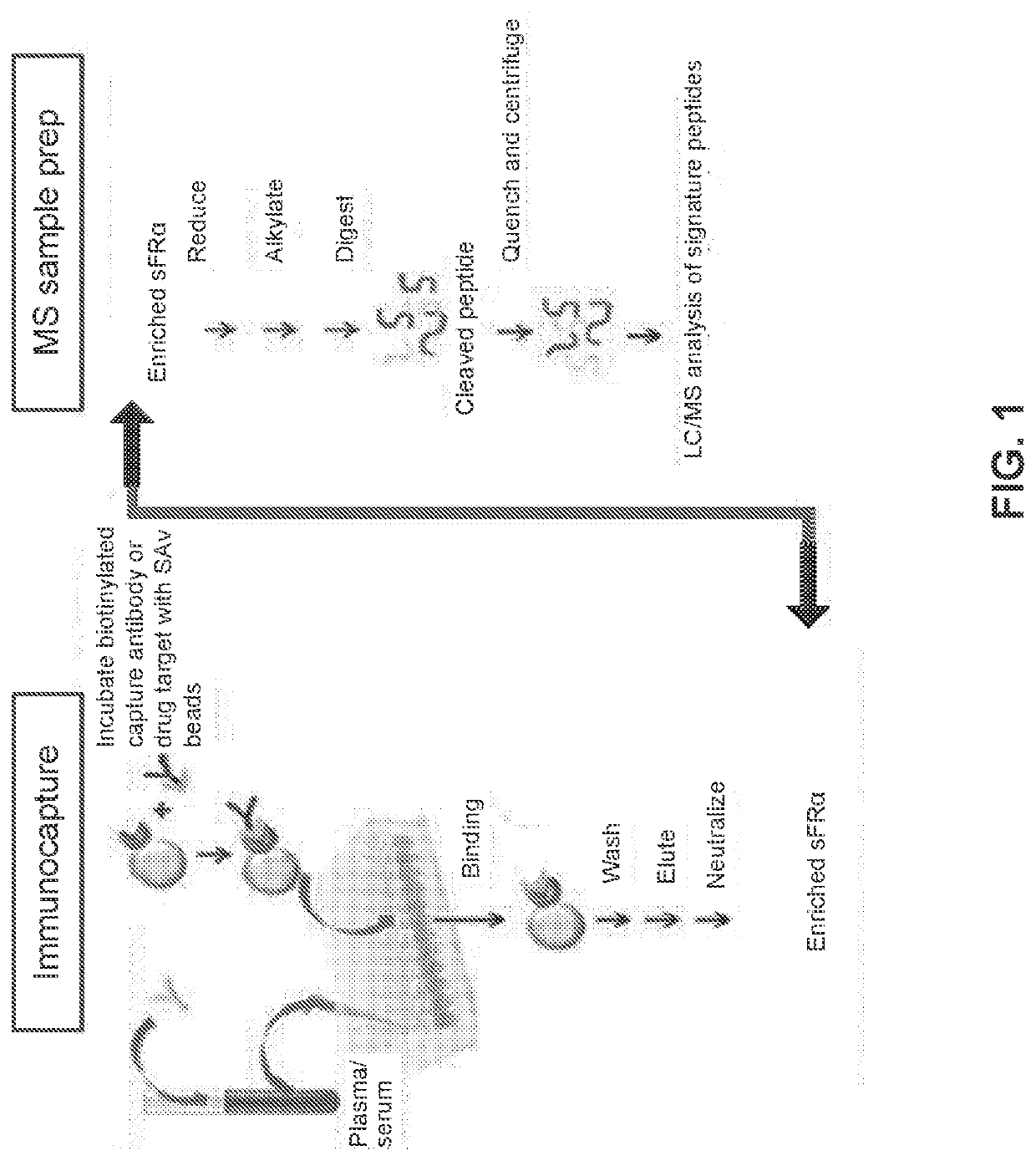 Methods for detection of folate receptor 1 in a patient sample