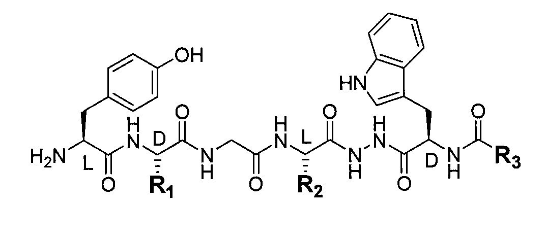Method of producing a novel opioid peptide