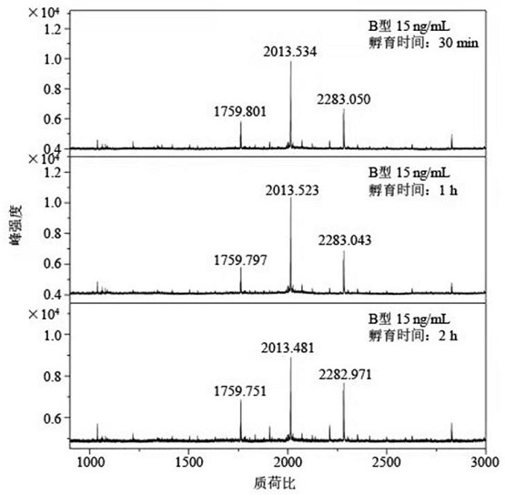 Botulinum toxin specific substrate peptide, detection kit and detection method