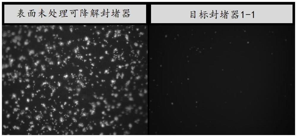 Anticoagulation and rapid endothelialization coating for degradable plugging device and preparation method of anticoagulation and rapid endothelialization coating