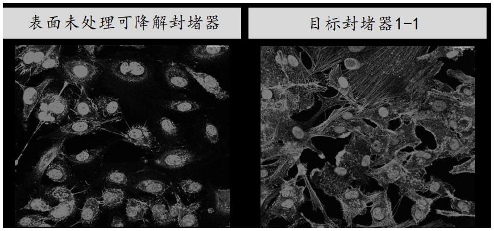 Anticoagulation and rapid endothelialization coating for degradable plugging device and preparation method of anticoagulation and rapid endothelialization coating