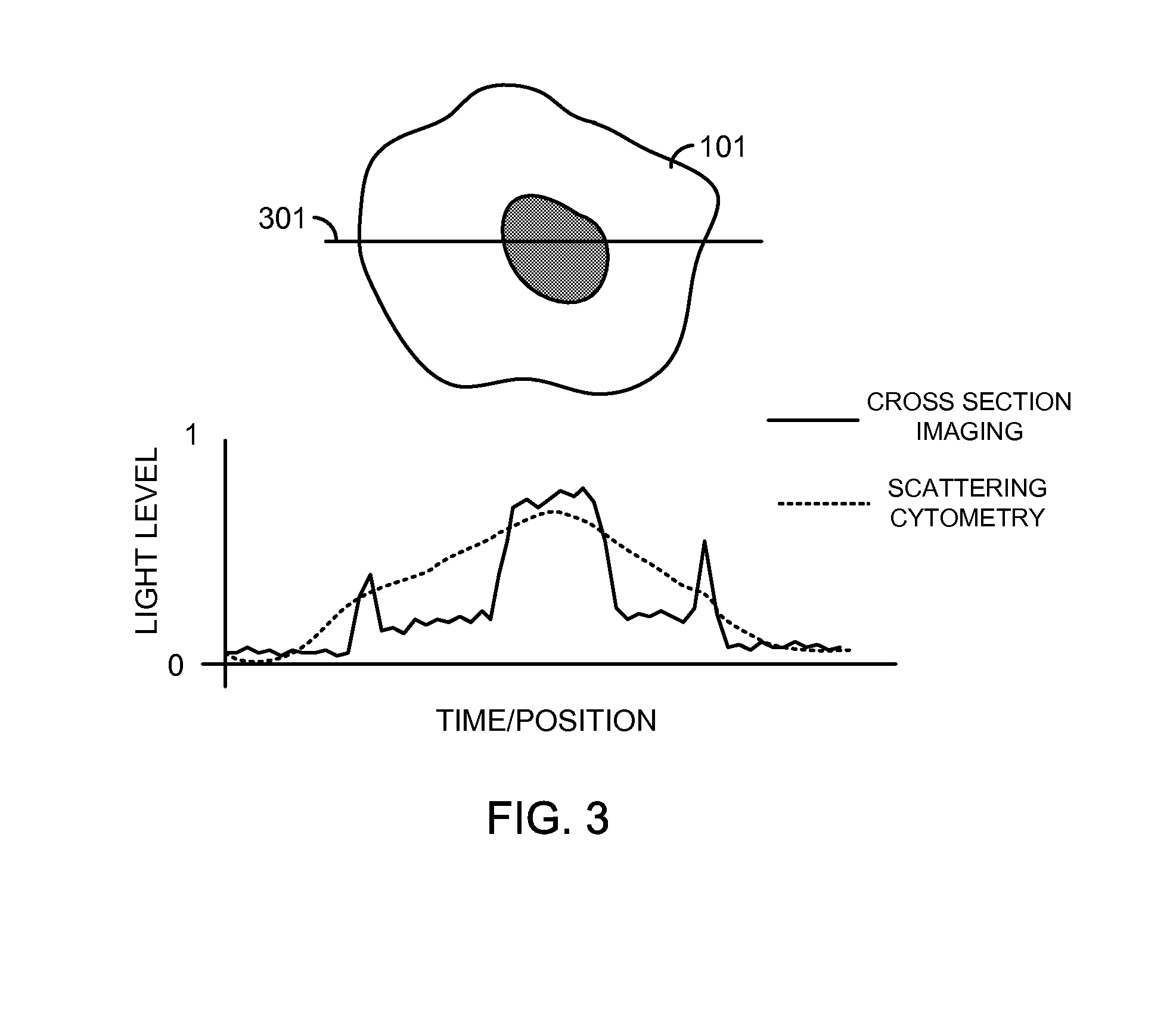 High-speed cellular cross sectional imaging