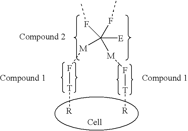 Exponential pattern recognition based cellular targeting, compositions, methods and anticancer applications