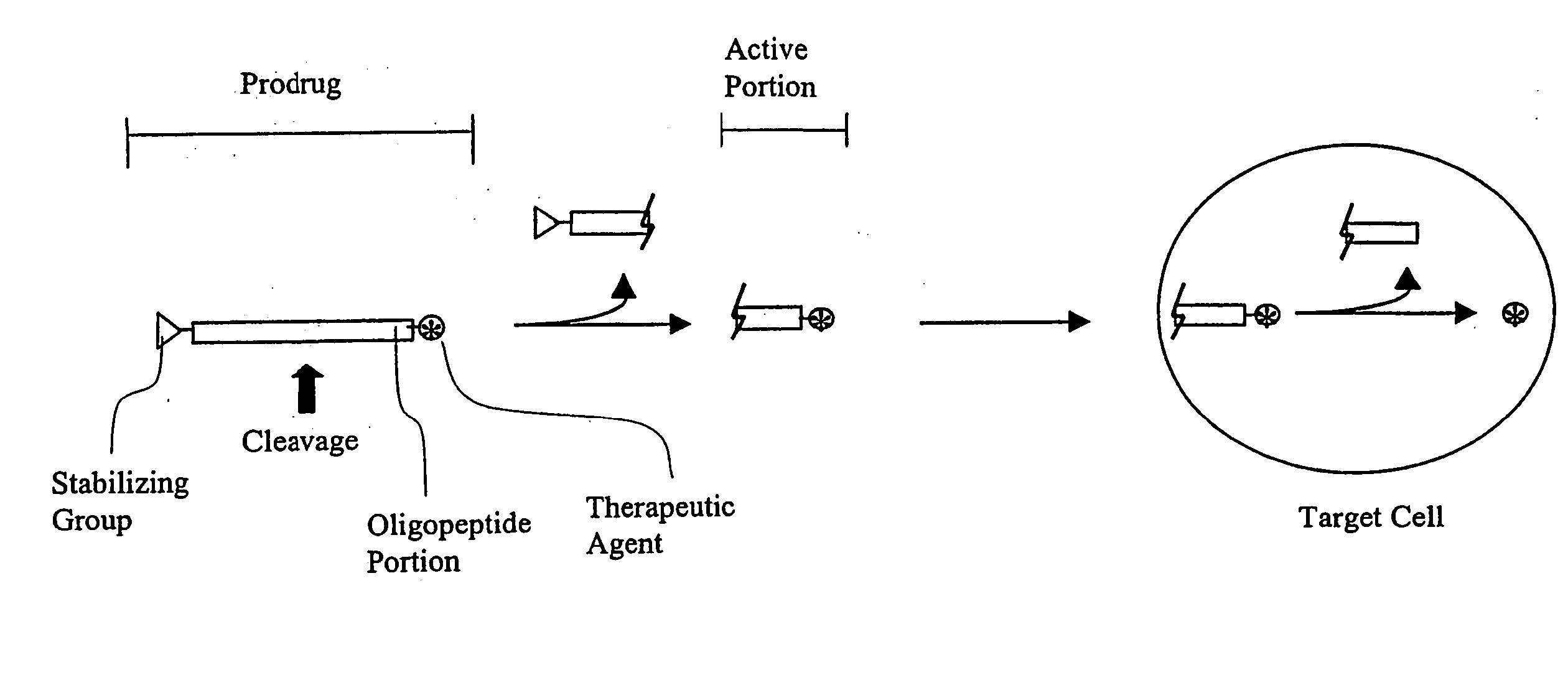 Tripeptide prodrug compounds