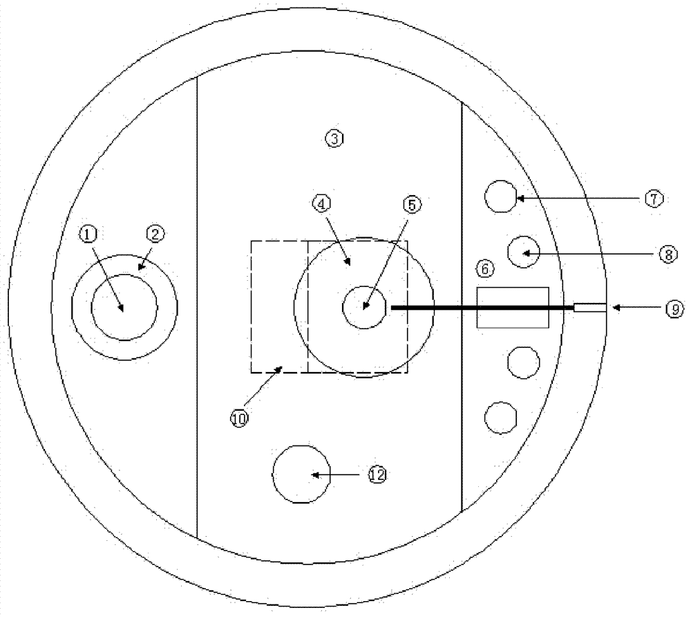 Ionic liquid system electrochemical process in-situ research device